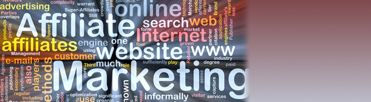 Affiliate Marketing - Internet als Vertriebskanal