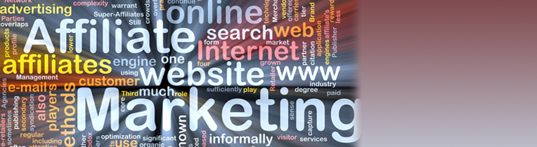 Affiliate Marketing – cost-effective sales channel via the internet