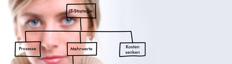 IT Strategie Beratung - strategisches IT-Management