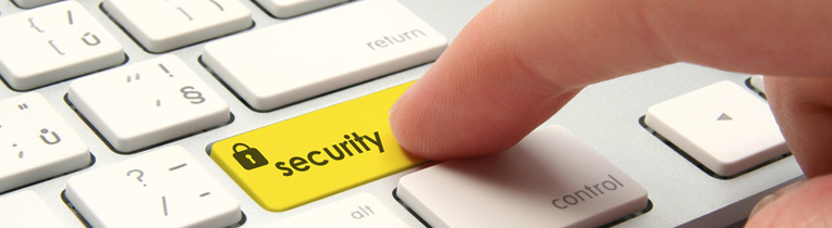 Managed Security as a Service for Medium-sized Businesses