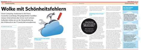 Wolke mit Schönheitsfehlern aus Business Reporter